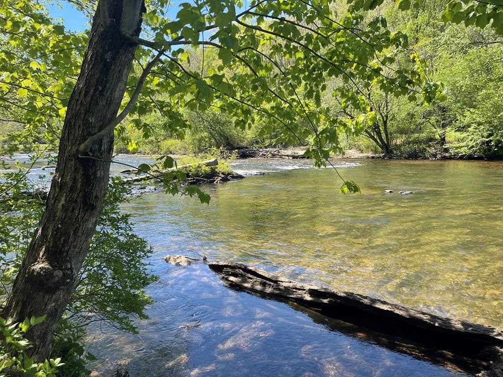 Property from 346 Riverclub Drive - KW - Cullowhee, North Carolina, 28723