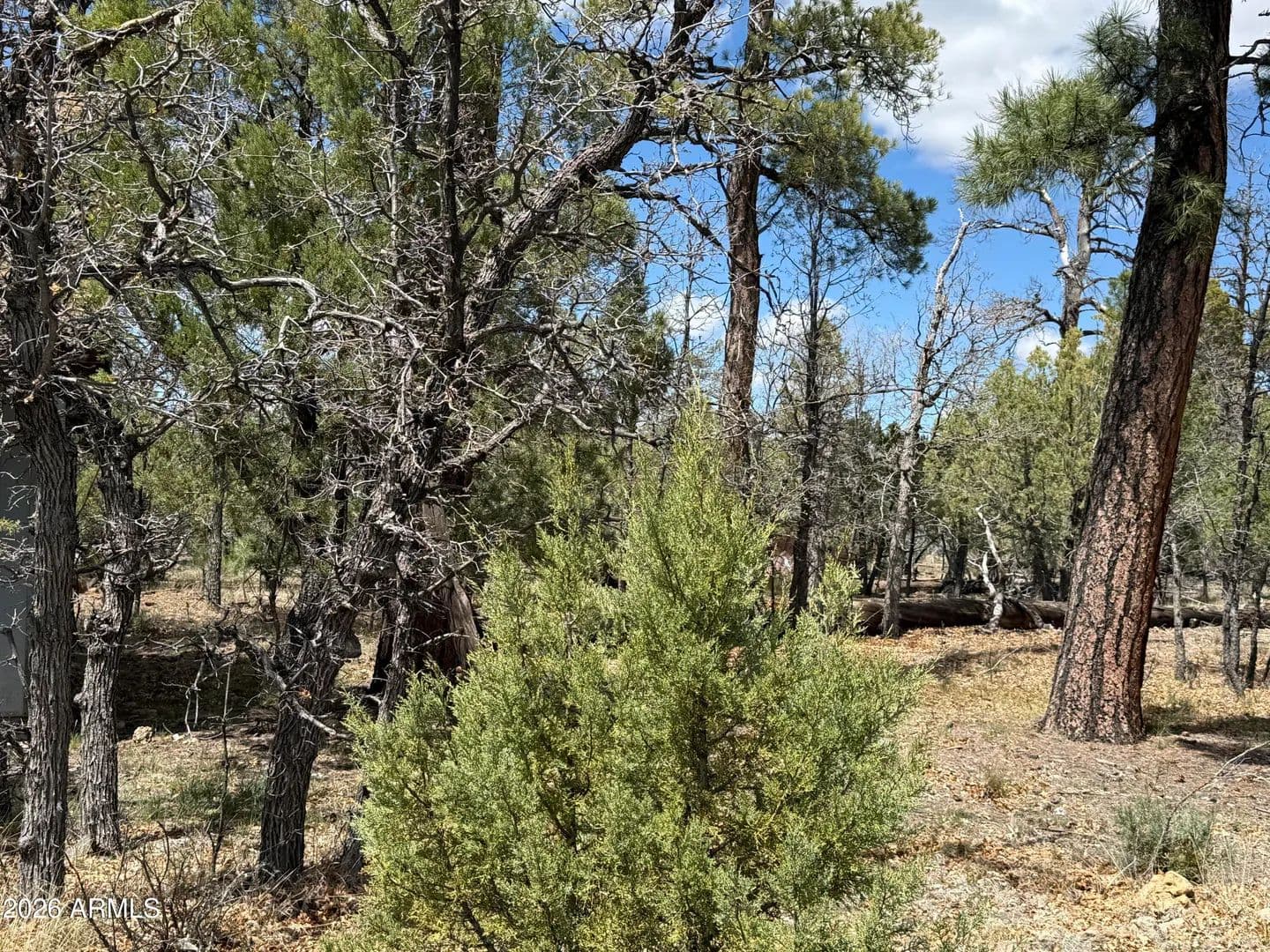 Property from 1226 GREEN RIDGE Drive #80 - KW - Happy Jack, Arizona, 86024