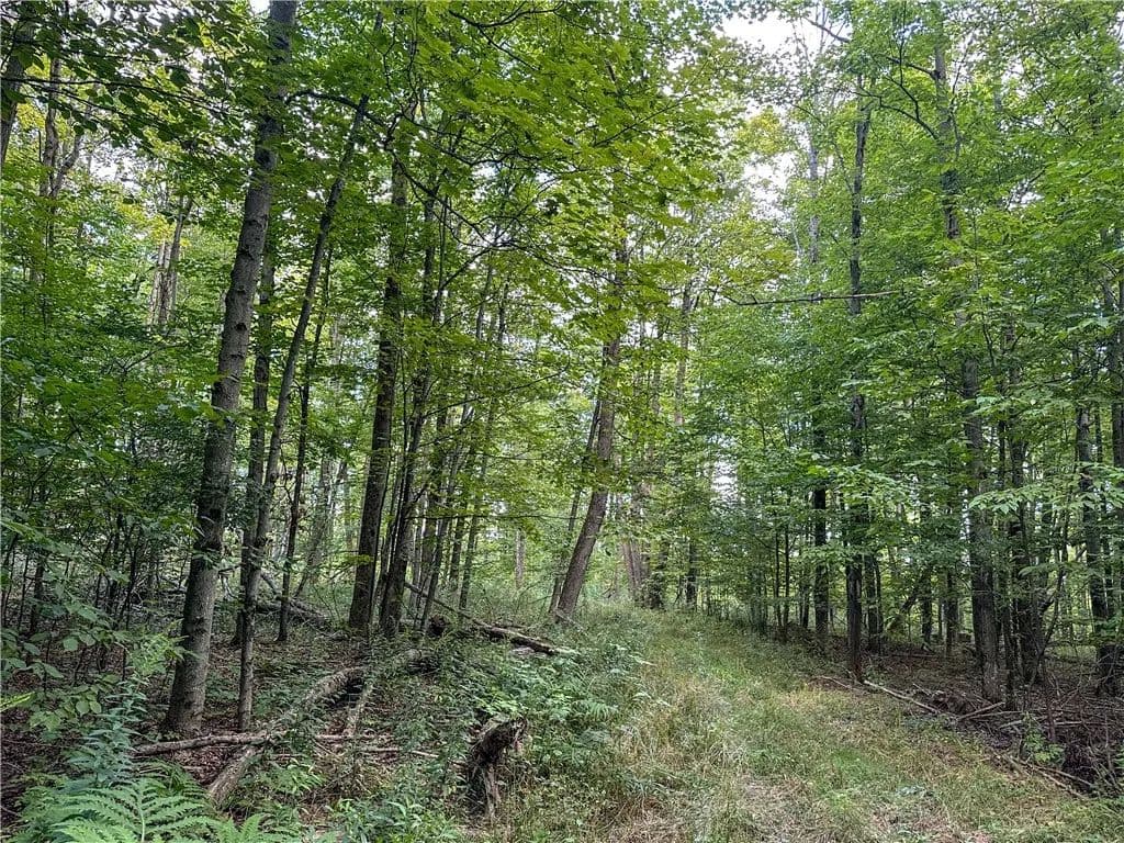 Property from 8190 Billing Drive - KW - Almond, New York, 14804