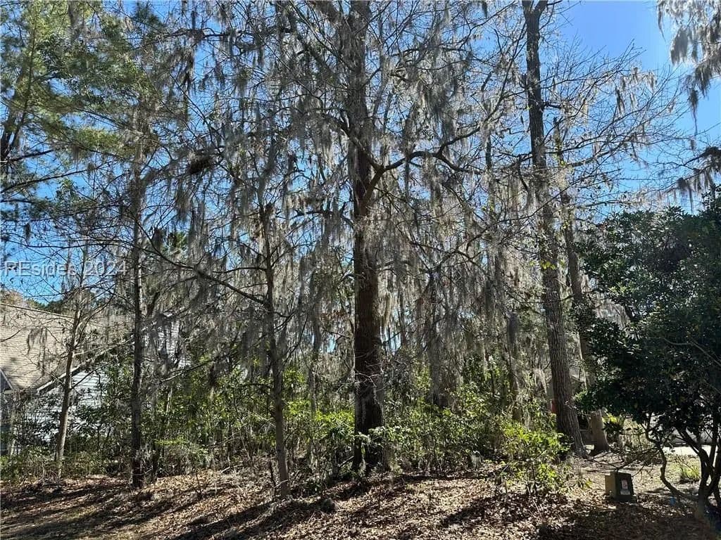Land -Single Family Acreage in Bluffton - Bluffton, South Carolina, 29910