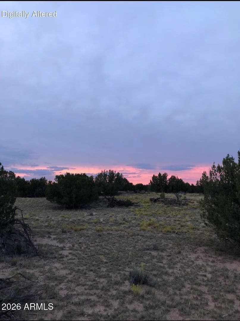 37.8 Acres of Land for Sale in St Johns, Arizona - St Johns, Arizona, 85936