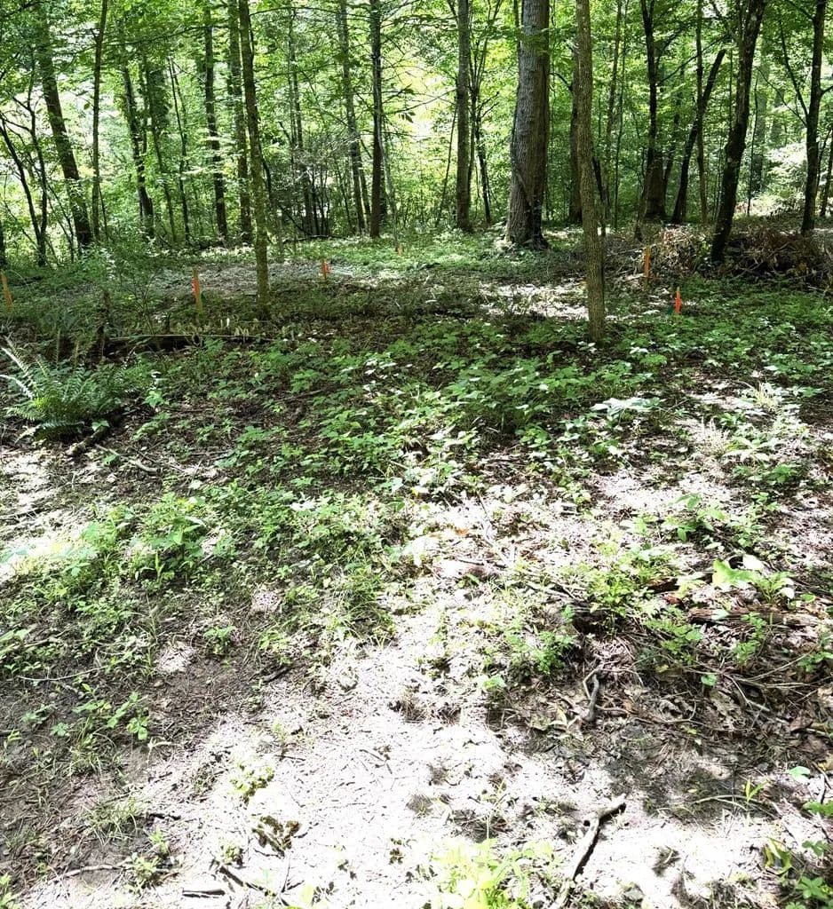 Property from Lot 10 Hide-A-Way Ln - KW - Franklin, North Carolina, 28734