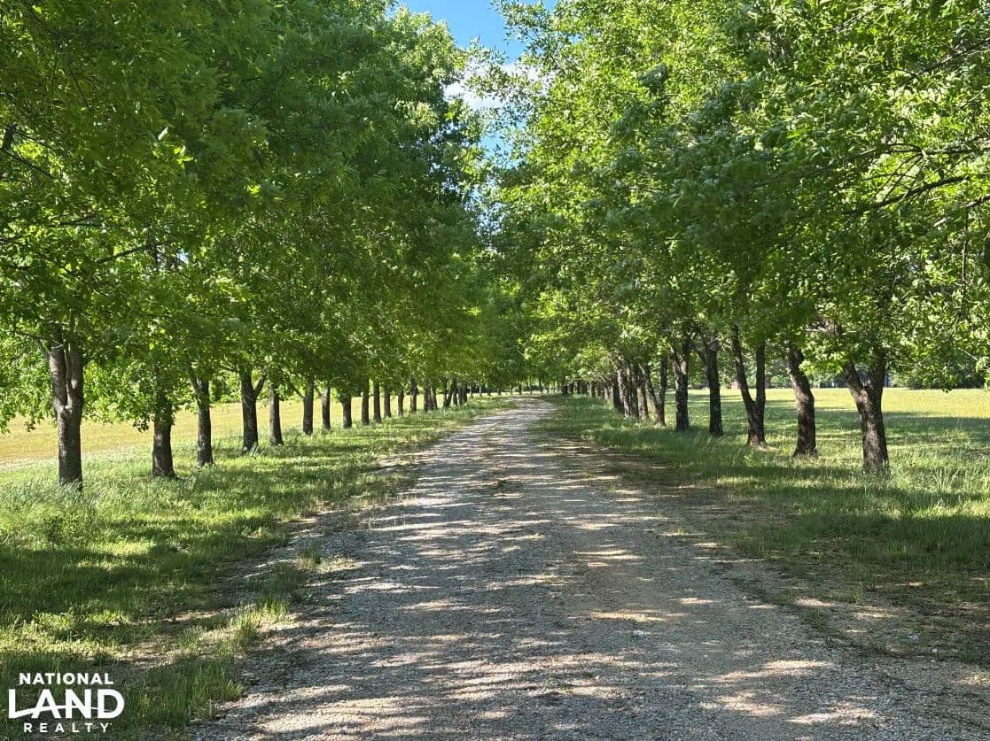 Golden Triangle Aviation & Equestrian Estate - Columbus, Mississippi, 39701