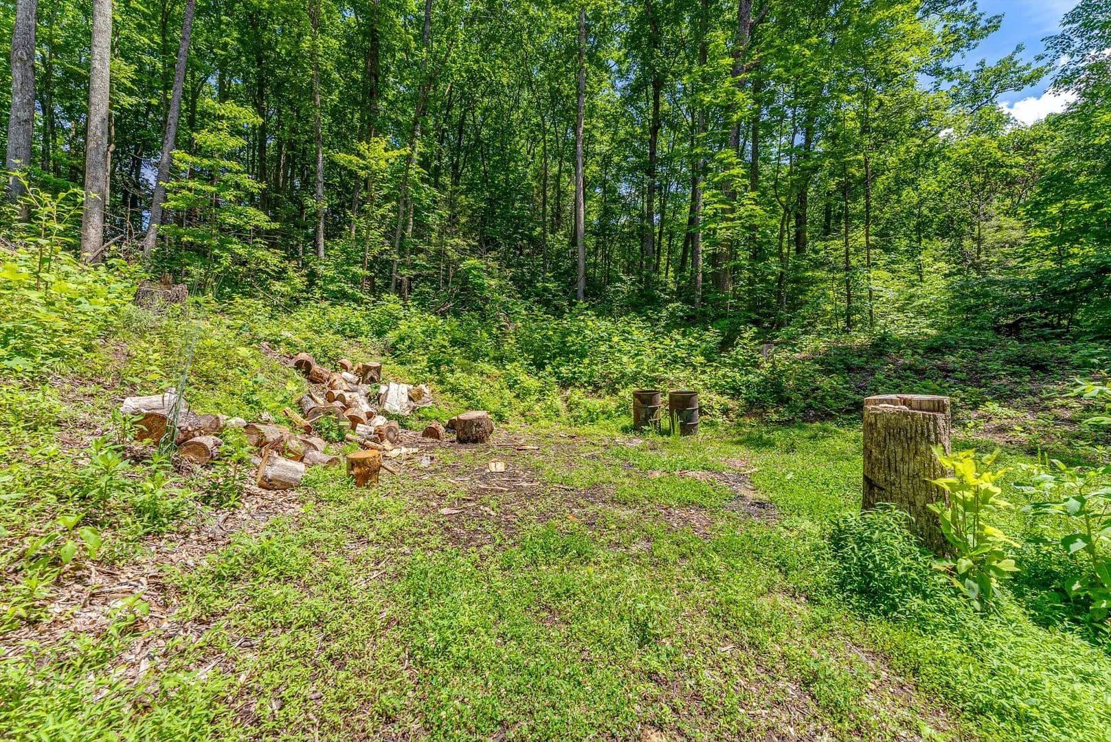 Property from 229 Sonshine Ridge Road - KW - Cosby, Tennessee, 37722