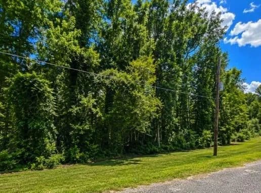 1.34 Acres of Land for Sale in Jasper, Texas - Jasper, Texas, 75951