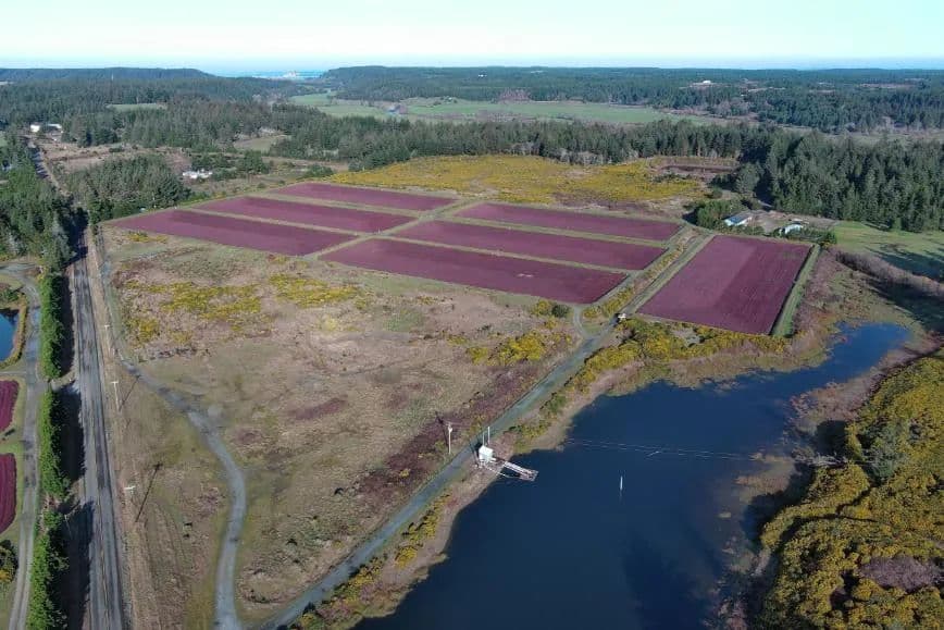 Cranberry Farm and Home - Port Orford, Oregon, 97504