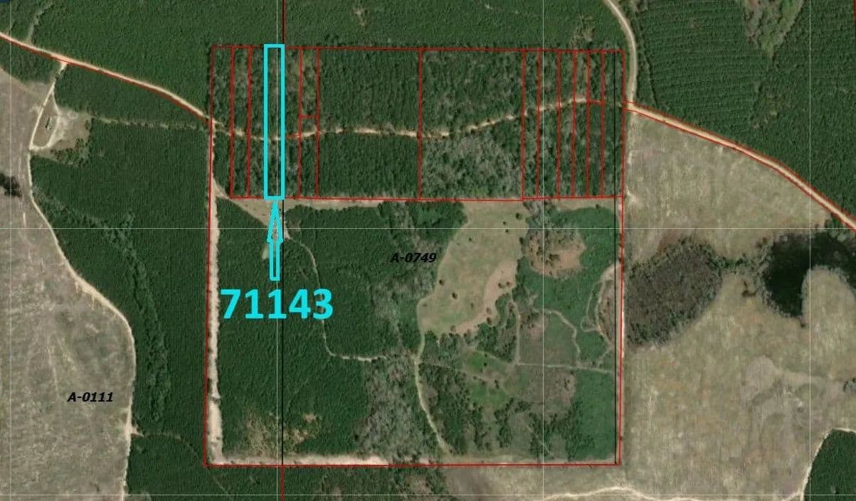Property from 71143 Camp Seale Road - KW - Livingston, Texas, 77351