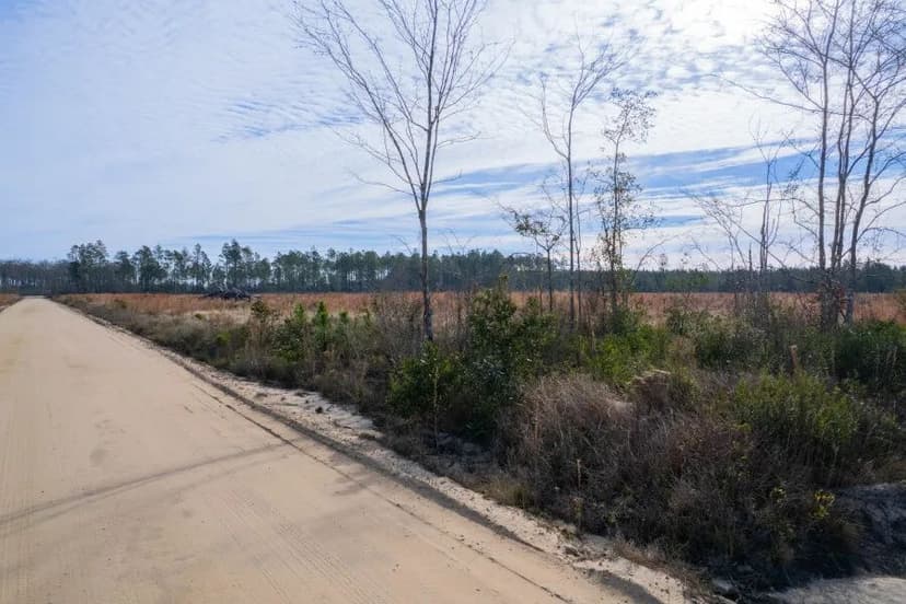 17 Acres Tract in Morris Break Road, Wayne County