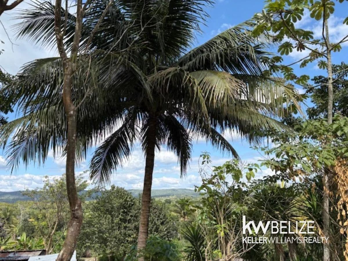 Land for Sale in Bullet Tree Village - land for sale
