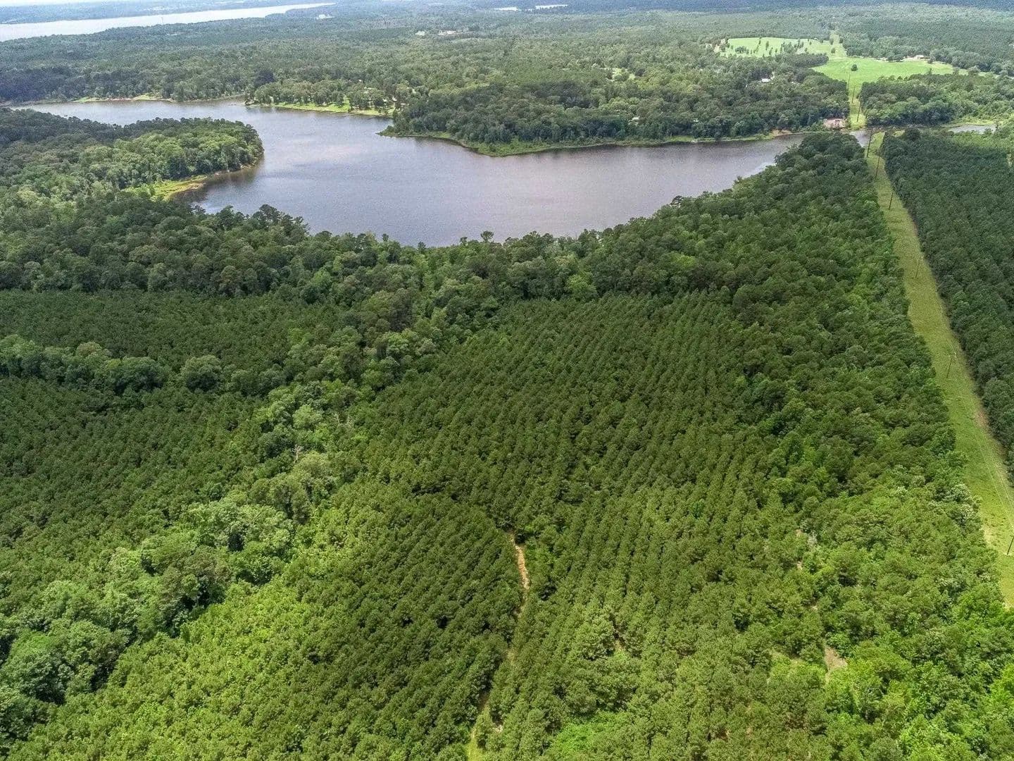 Property from 599 JONES FARM RD - KW - Avinger, Texas, 75630