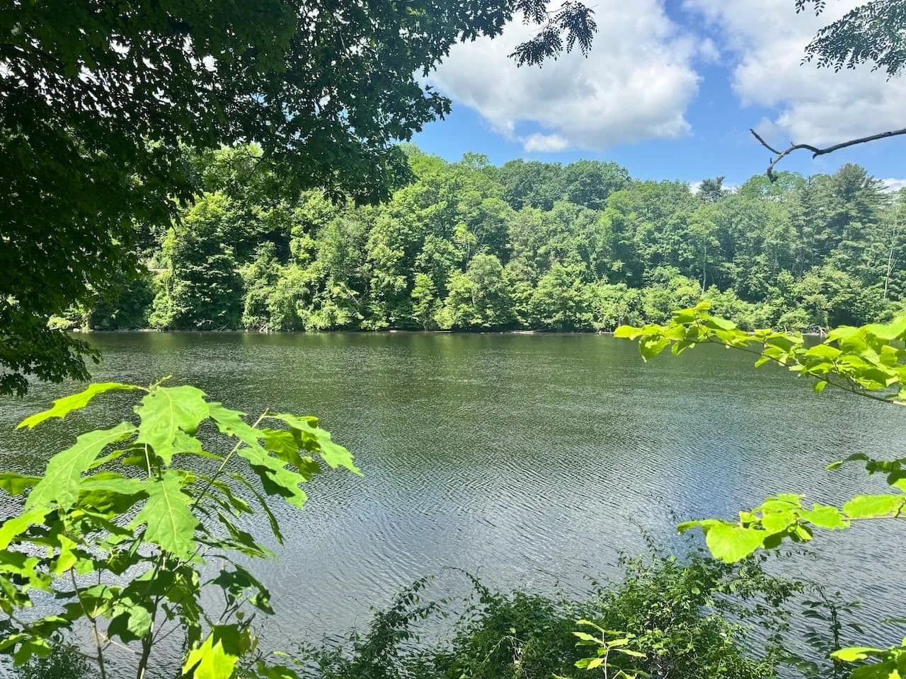 Property from 00 Mountain Road - KW - Chesterfield, New Hampshire, 3466