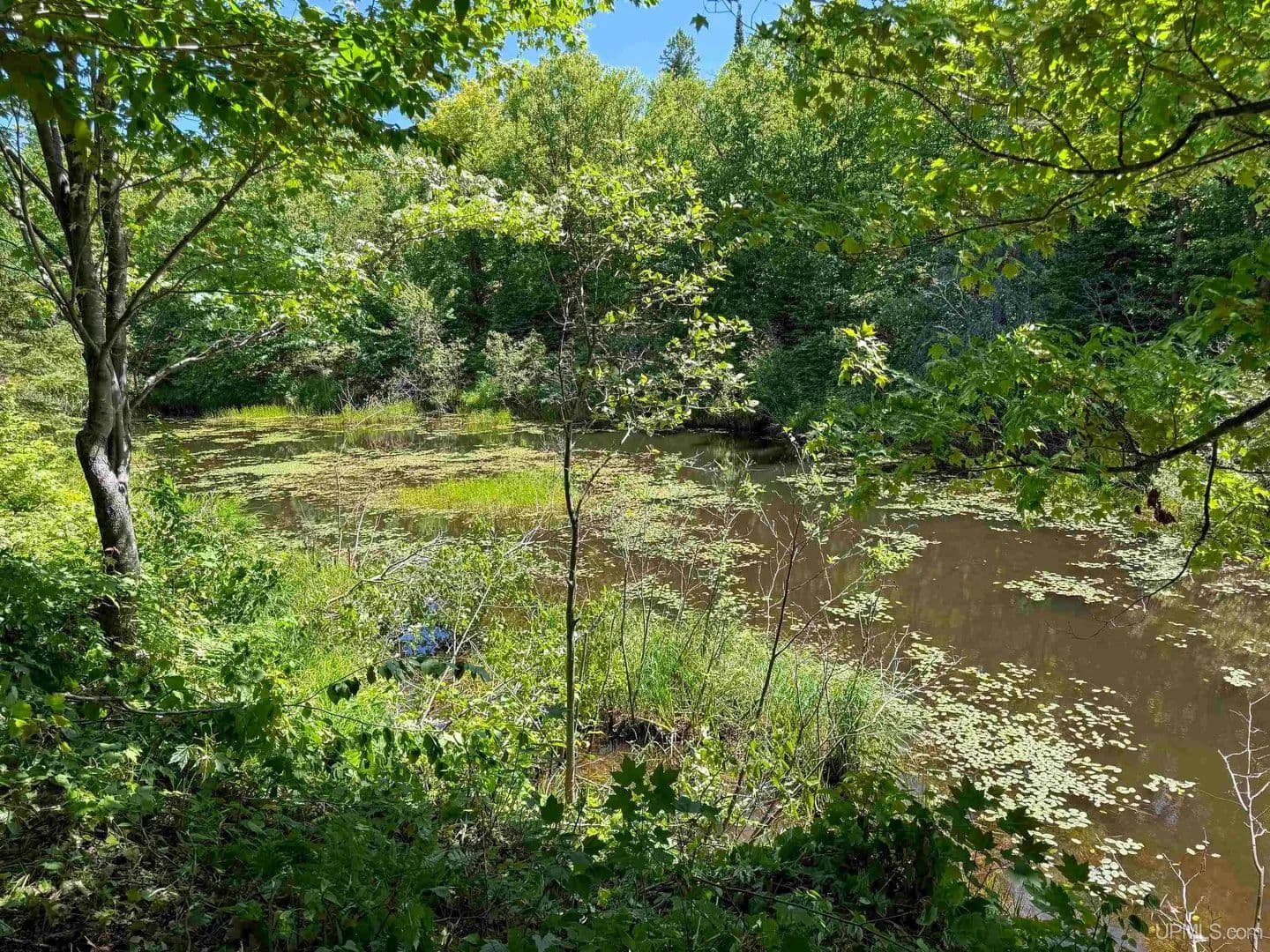 4.1 Acres of Land for Sale in Ontonagon, MI - Ontonagon, Michigan, 49953