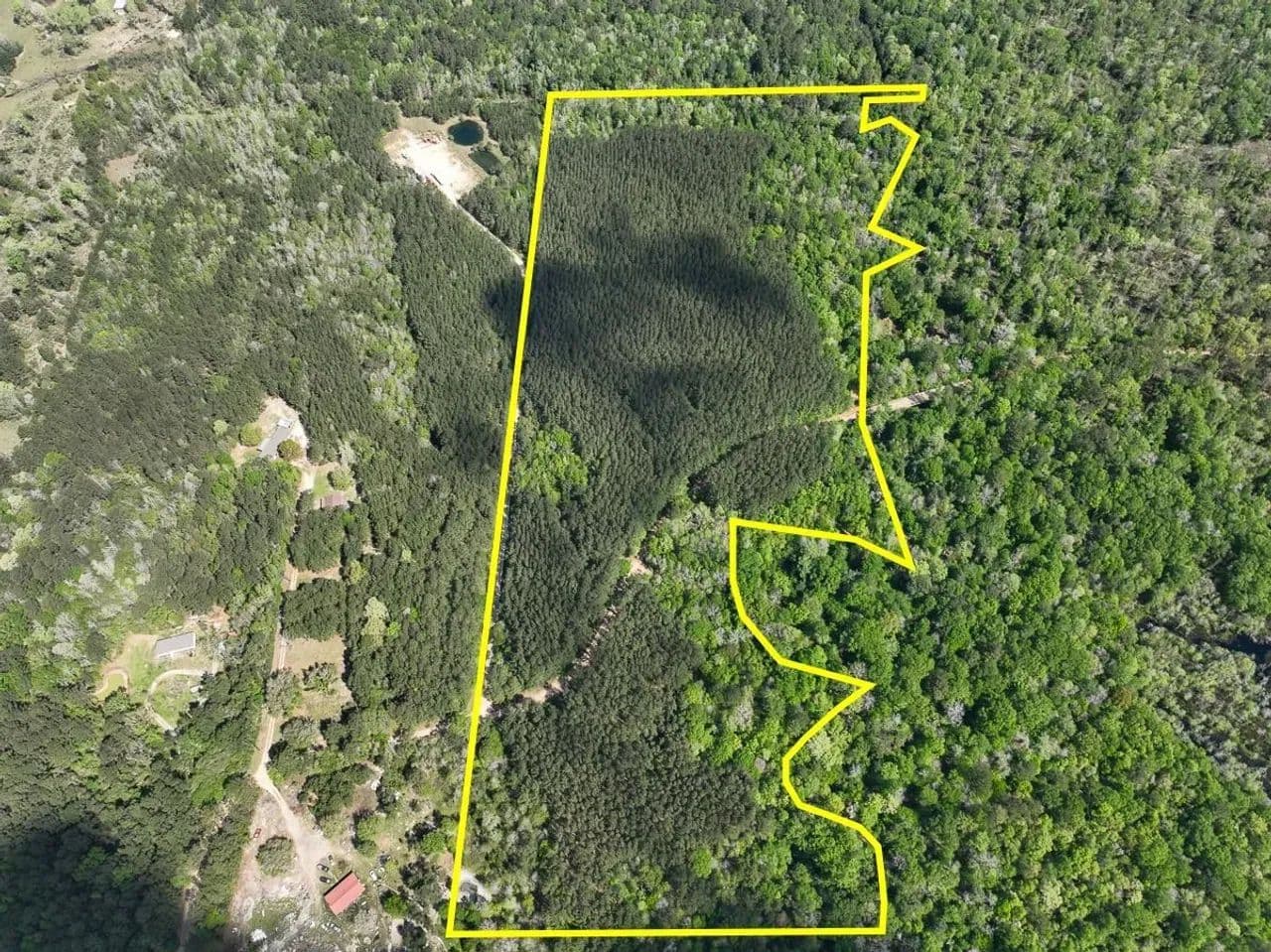 47 Acres | County Road 4525 | SN6512 - Warren, Texas, 77664