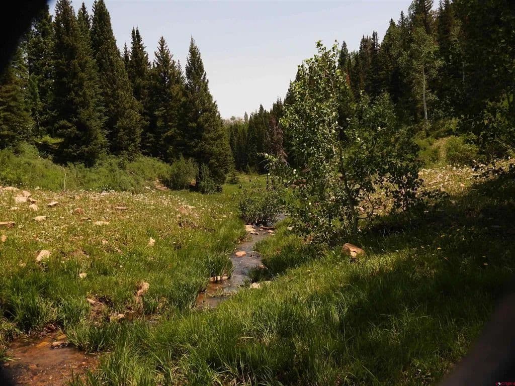 Property from TBD Transfer Road - KW - Montrose, Colorado, 81403
