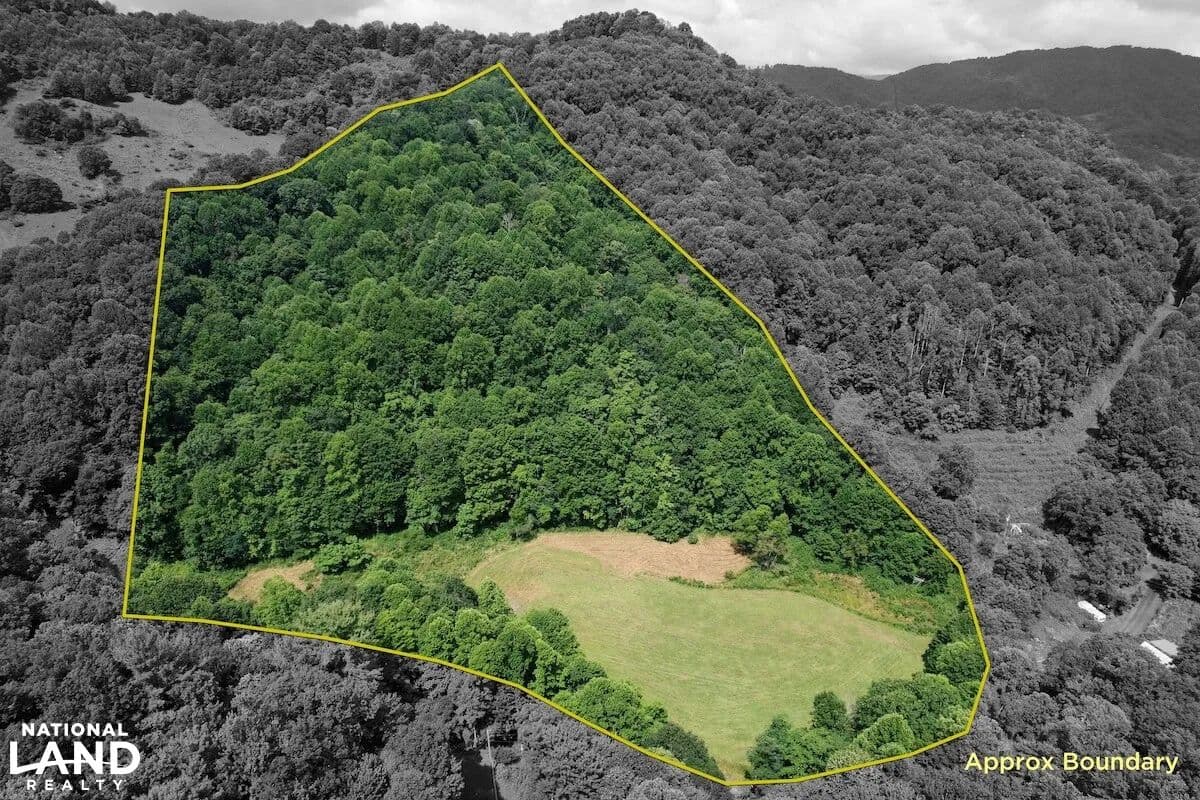 Mountain homestead pasture and creek - Marshall, North Carolina, 28753