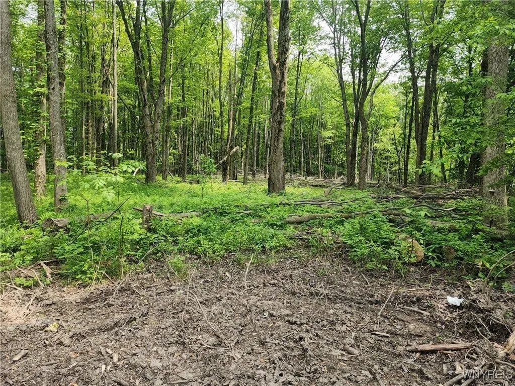 Lots & Land-Other in Angola - Angola, New York, 14006