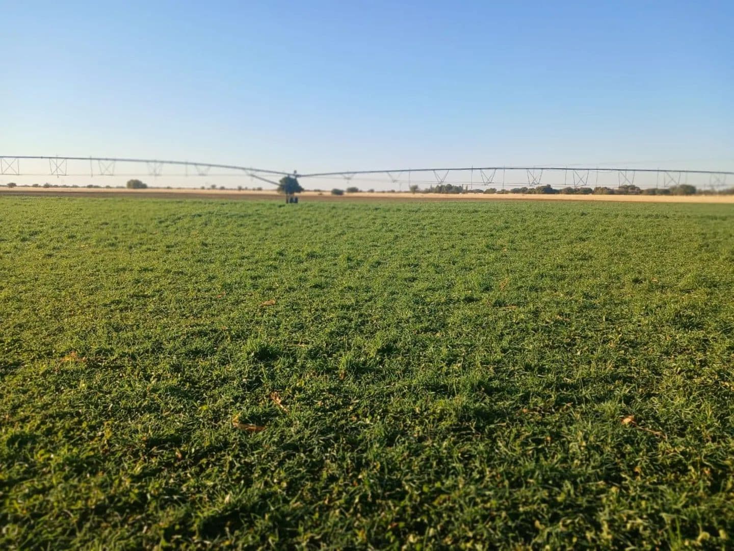 Land for Sale in Vryburg, North West - land for sale