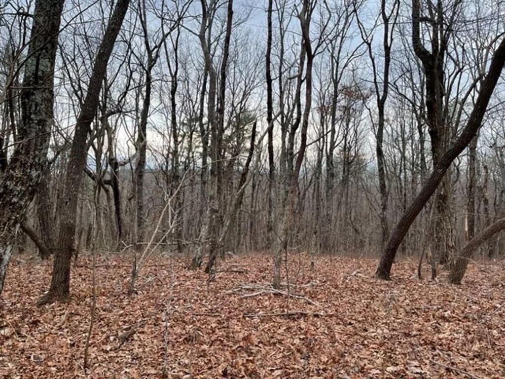 3.56 Acres of Land for Sale in Ellijay, Georgia - Ellijay, Georgia, 30536