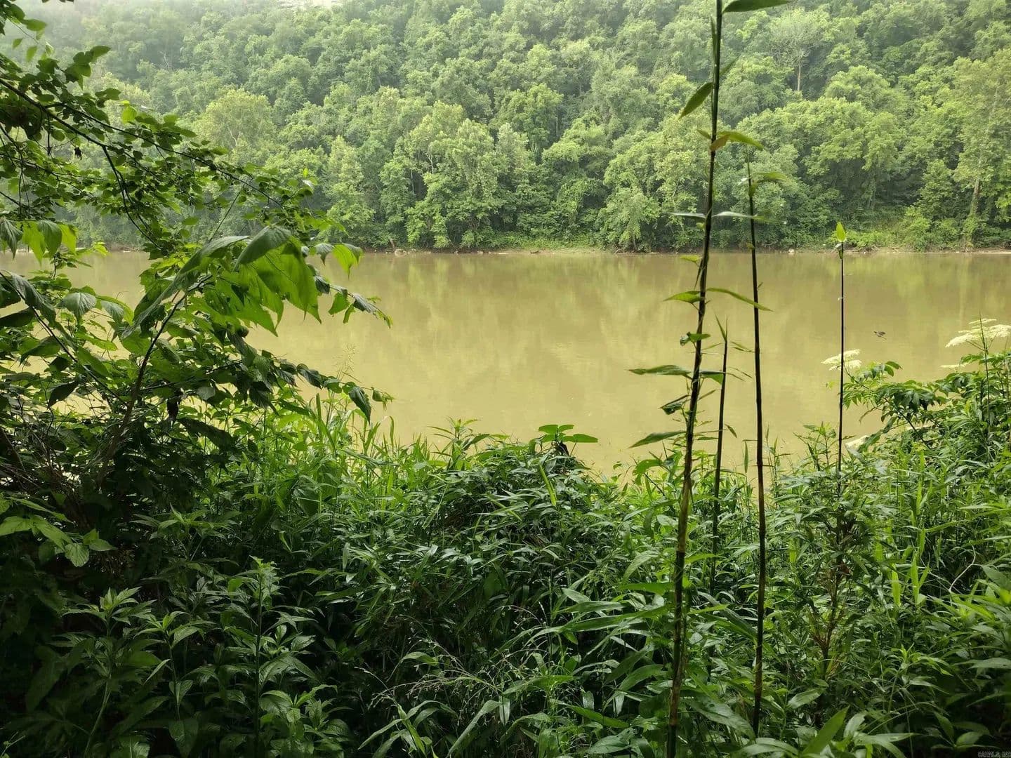 Property from 890 S River View LN - KW - Mountain View, Arkansas, 72556