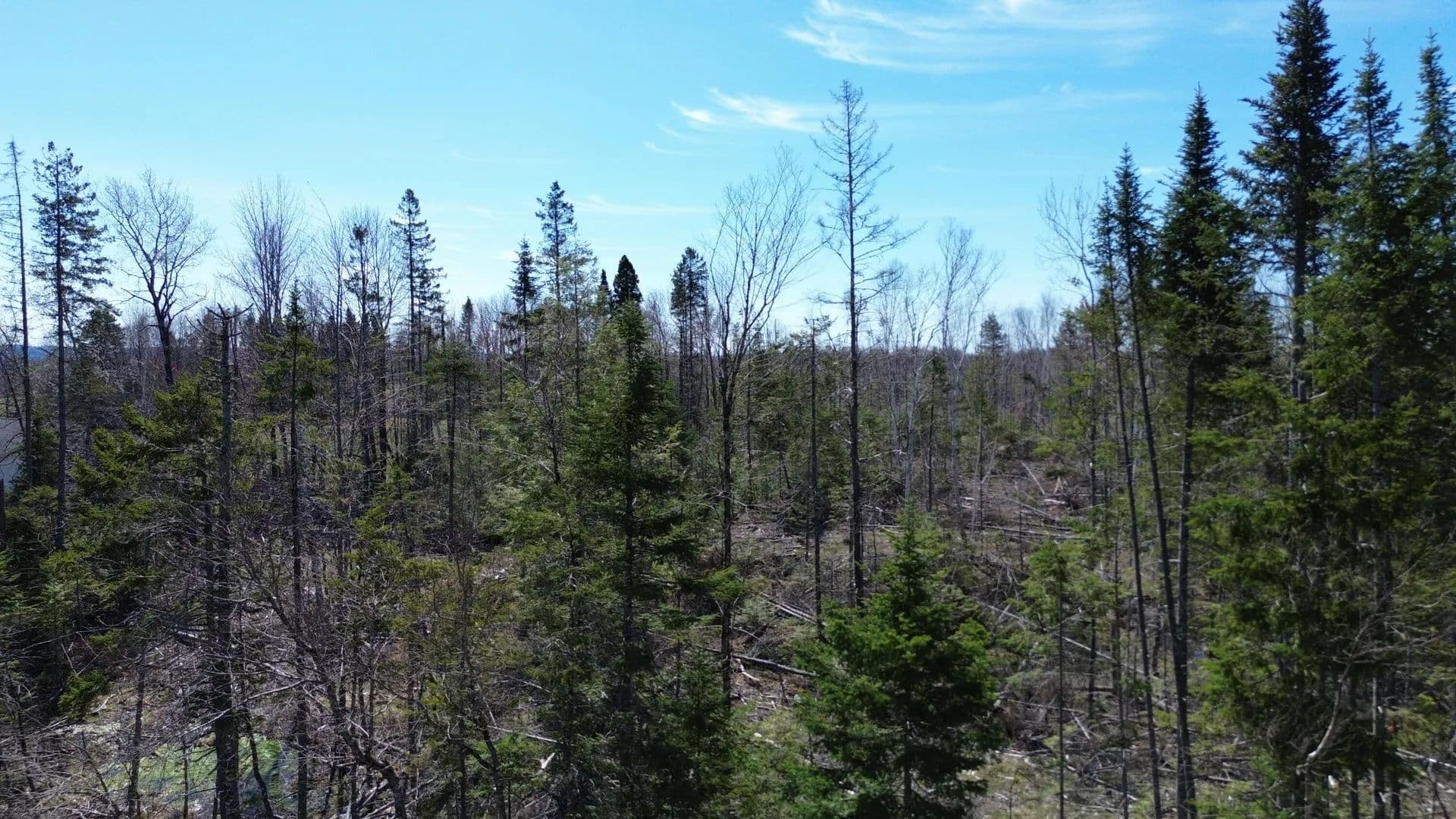 5.5 Acres of Land for Sale in Hammond, Maine - Hammond, Maine, 04730