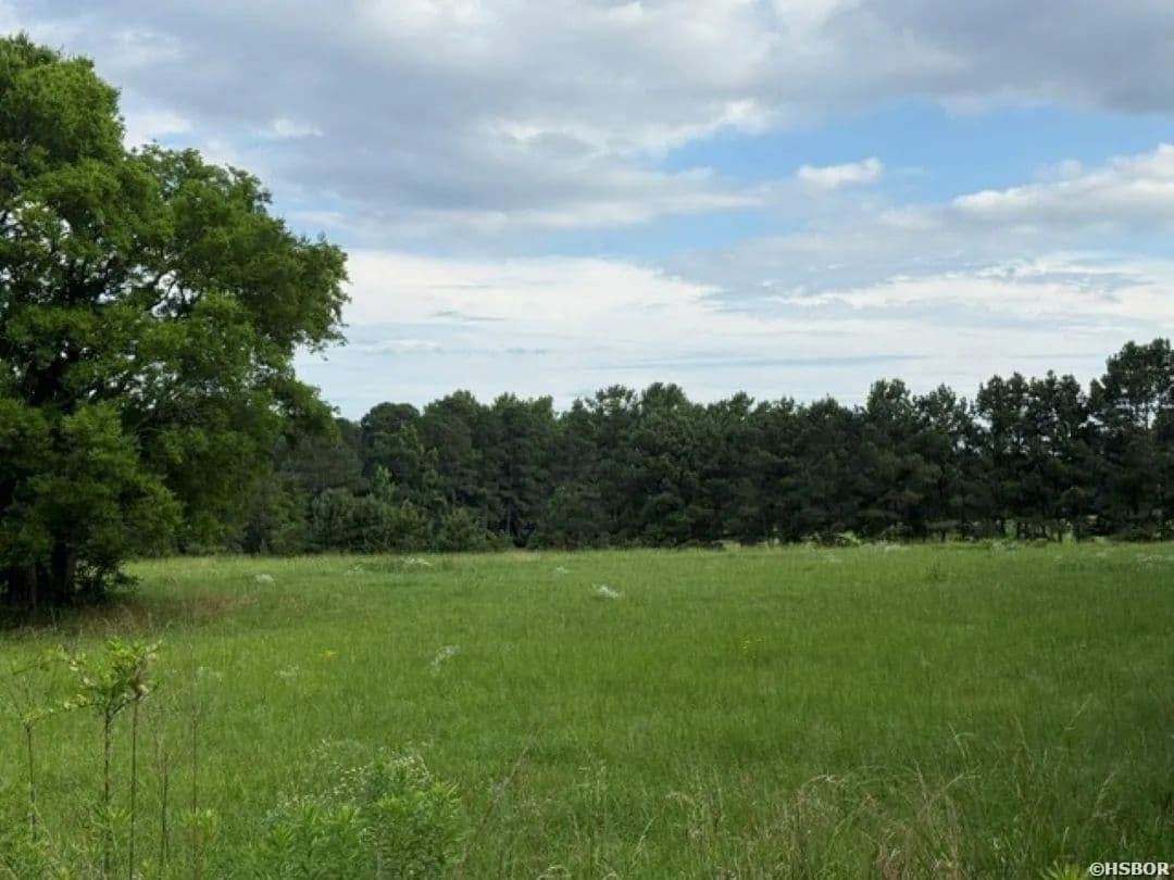 17 Acres of Land for Sale in Bismarck, AR - Bismarck, Arkansas, 71929