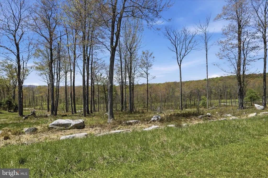 0.53 Acres of Land for Sale in Maryland - Maryland, 21541