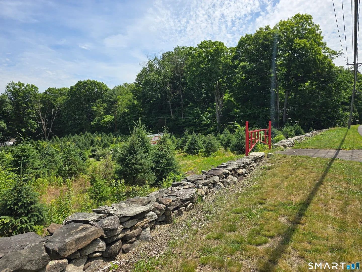 17.1 Acres of Land for Sale in Andover, CT - Andover, Connecticut, 06232