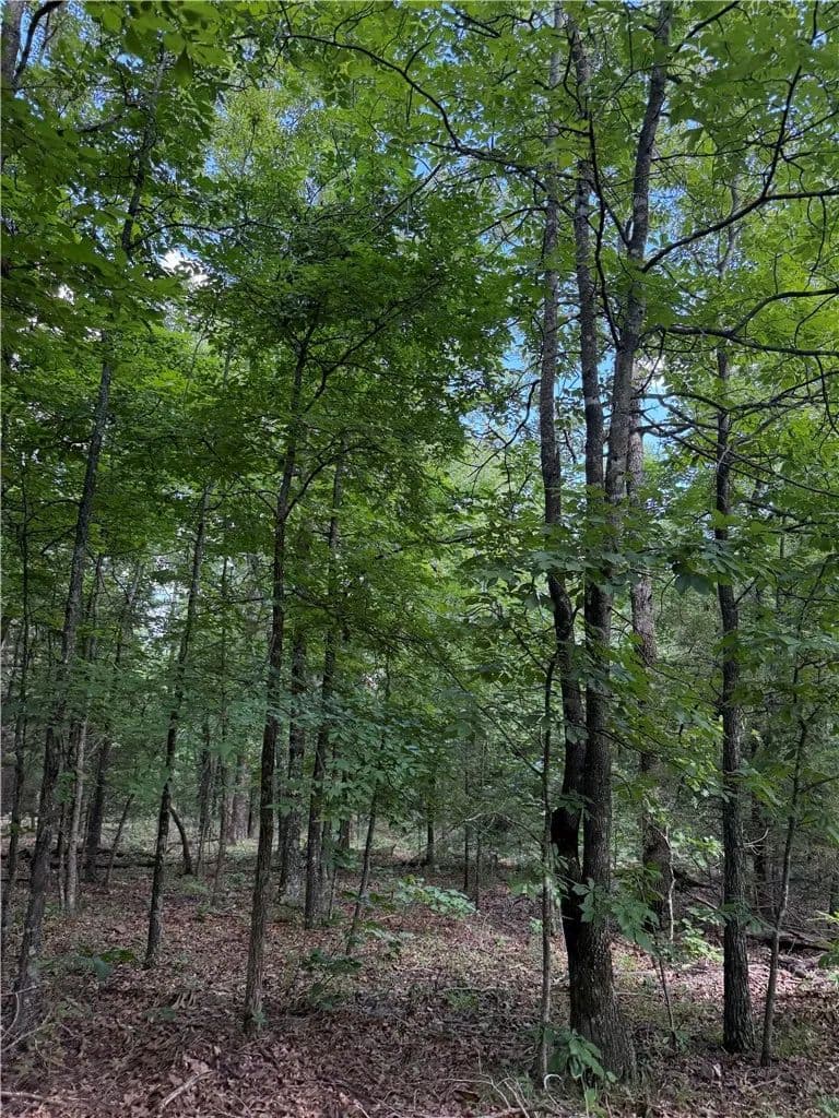 40.37 Acres of Land for Sale in Elkins, AR - Elkins, Arkansas, 72727