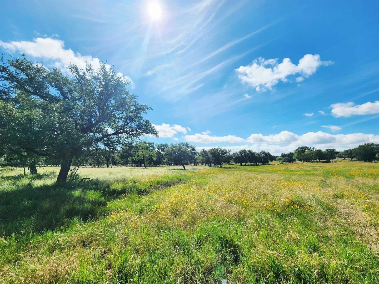 16.94 Acres of Land for Sale in Cherokee, TX - Cherokee, Texas, 76832