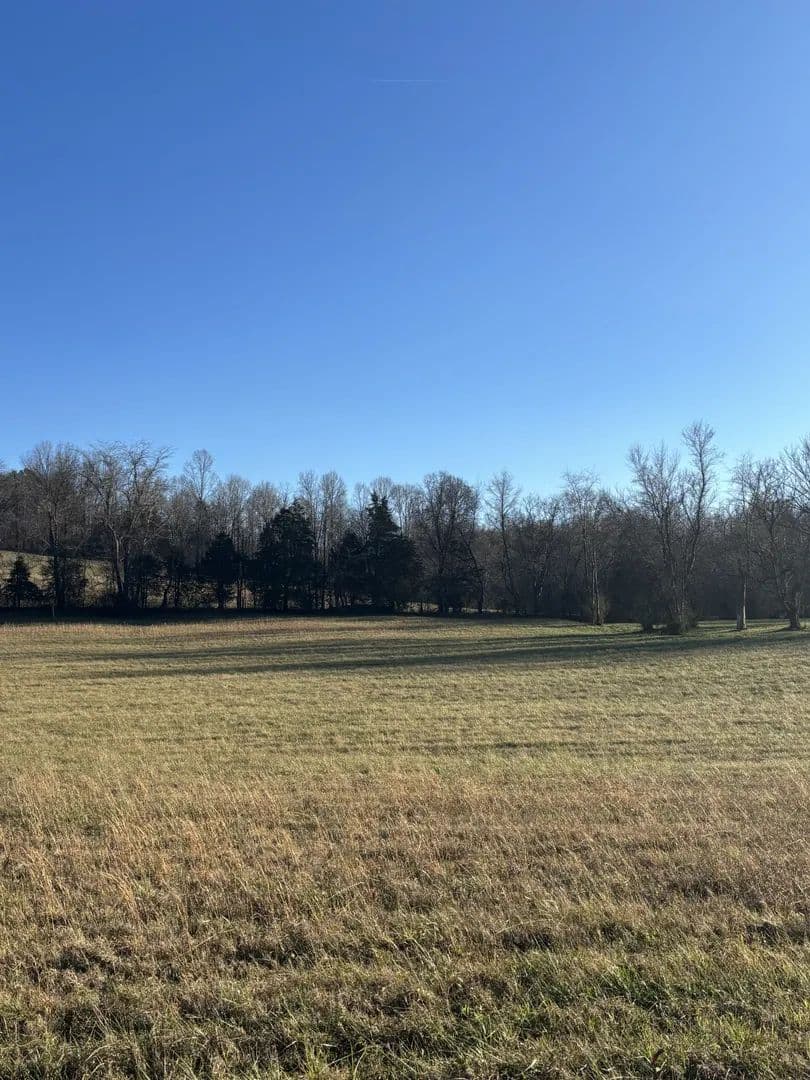 5.01 Acres of Land for Sale in Waverly, Tennessee - Waverly, Tennessee, 37185