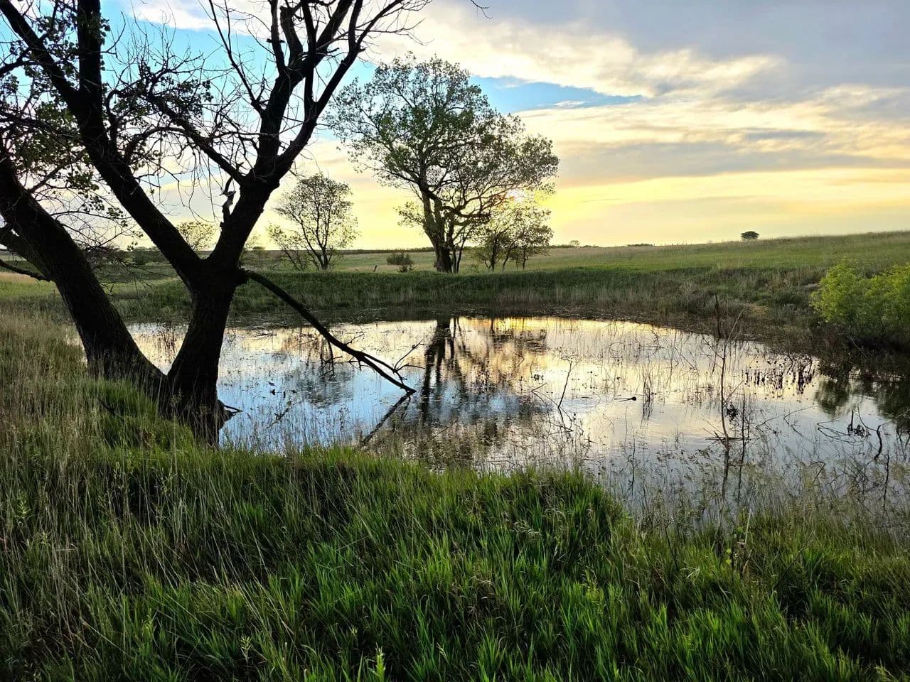 Recreational Property with Cropland Cash Lease Income - Alton, Kansas, 67623