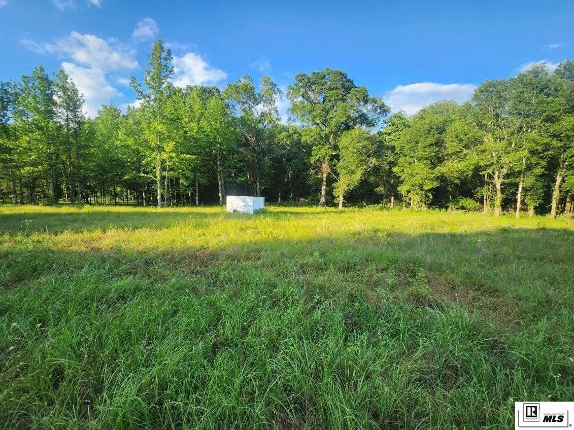 Vacant Land in Mangham - Mangham, Louisiana, 71259