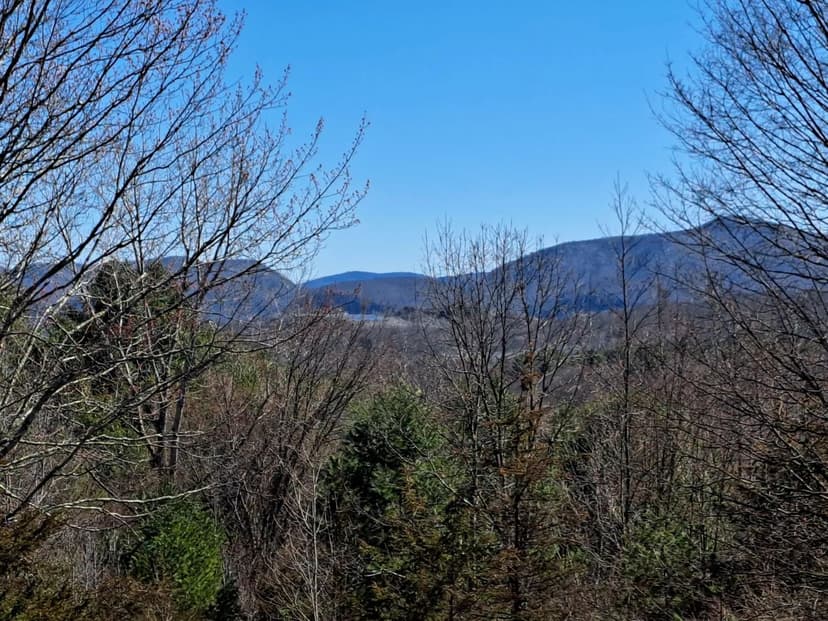 Scenic Sugar Bush