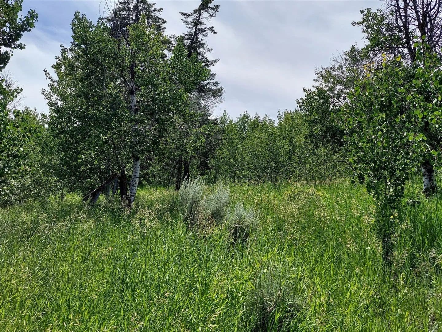 Lots & Land-Other in Oroville - Oroville, Washington, 98844