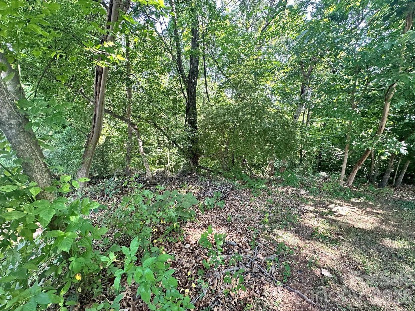 0.34 Acres of Land for Sale in Charlotte, North Carolina - Charlotte, North Carolina, 28273