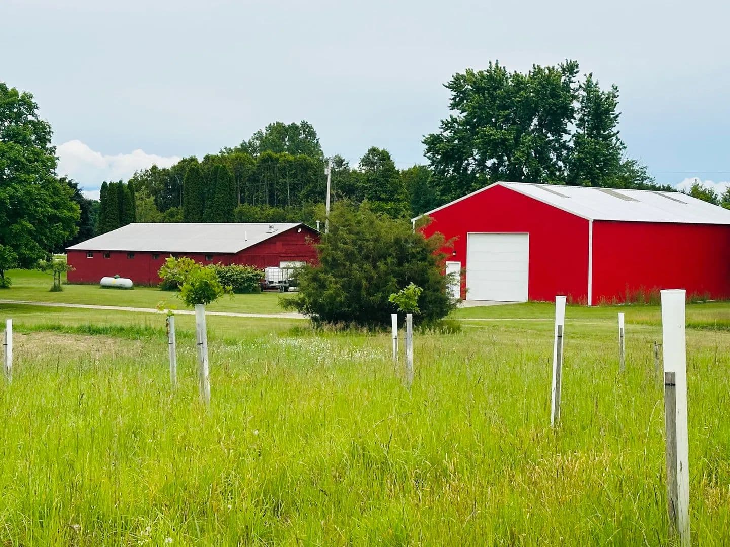 70 Acres of Land for Sale in Manistee, MI - Manistee, Michigan, 49660