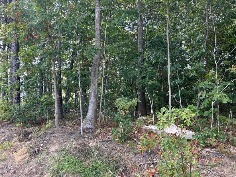 Vacant Land in Centereach