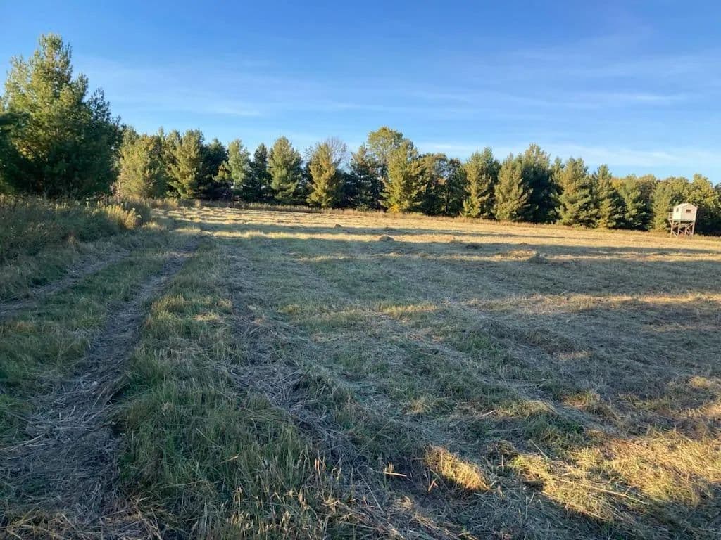 Property from TBD Hummingbird Road - KW - Braham, Minnesota, 55006
