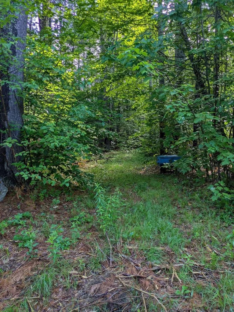Lots & Land-Other in Grafton - Grafton, New Hampshire, 03240