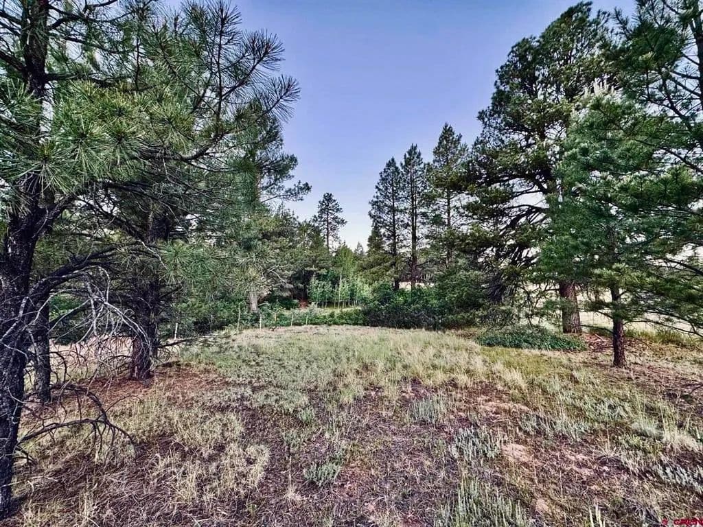 3 Acres of Land for Sale in Pagosa Springs, CO - Pagosa Springs, Colorado, 81147