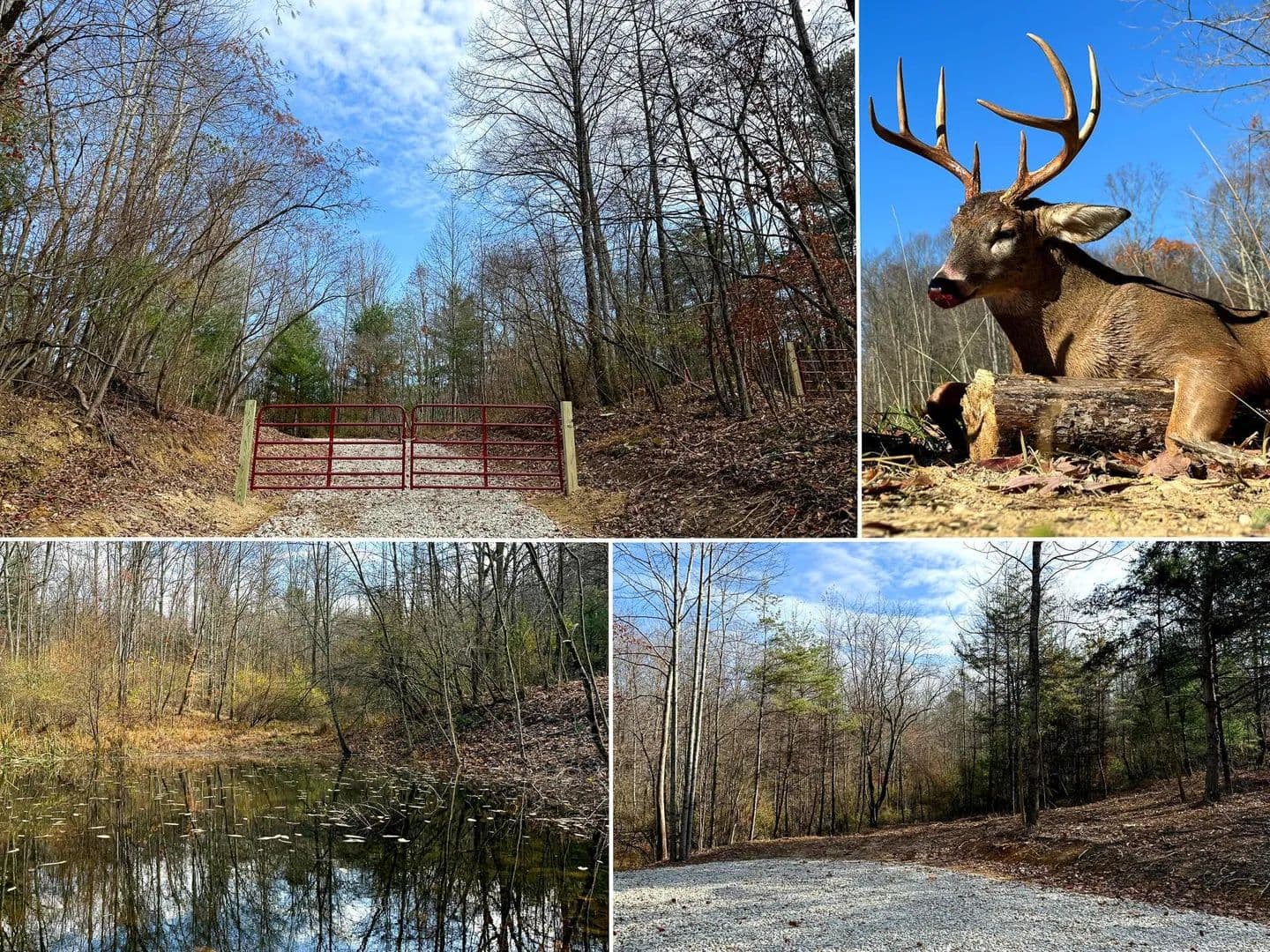 5.35 Acres of Land for Sale in New Lexington, Ohio - New Lexington, Ohio, 43764