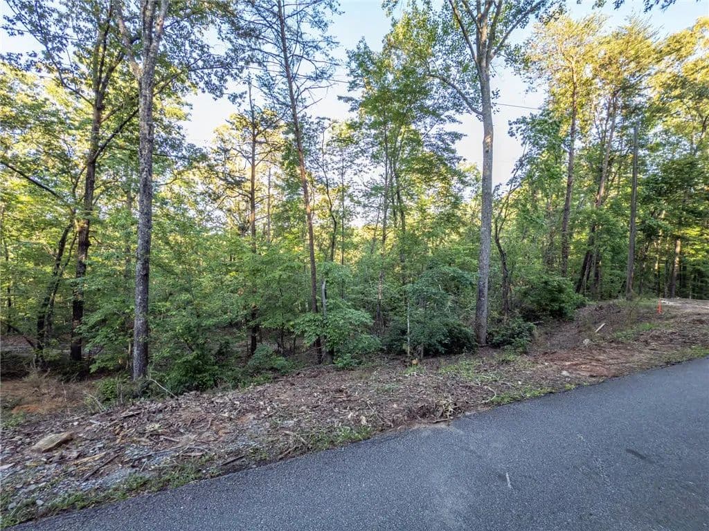 Vacant Land in Sunset - Sunset, South Carolina, 29685