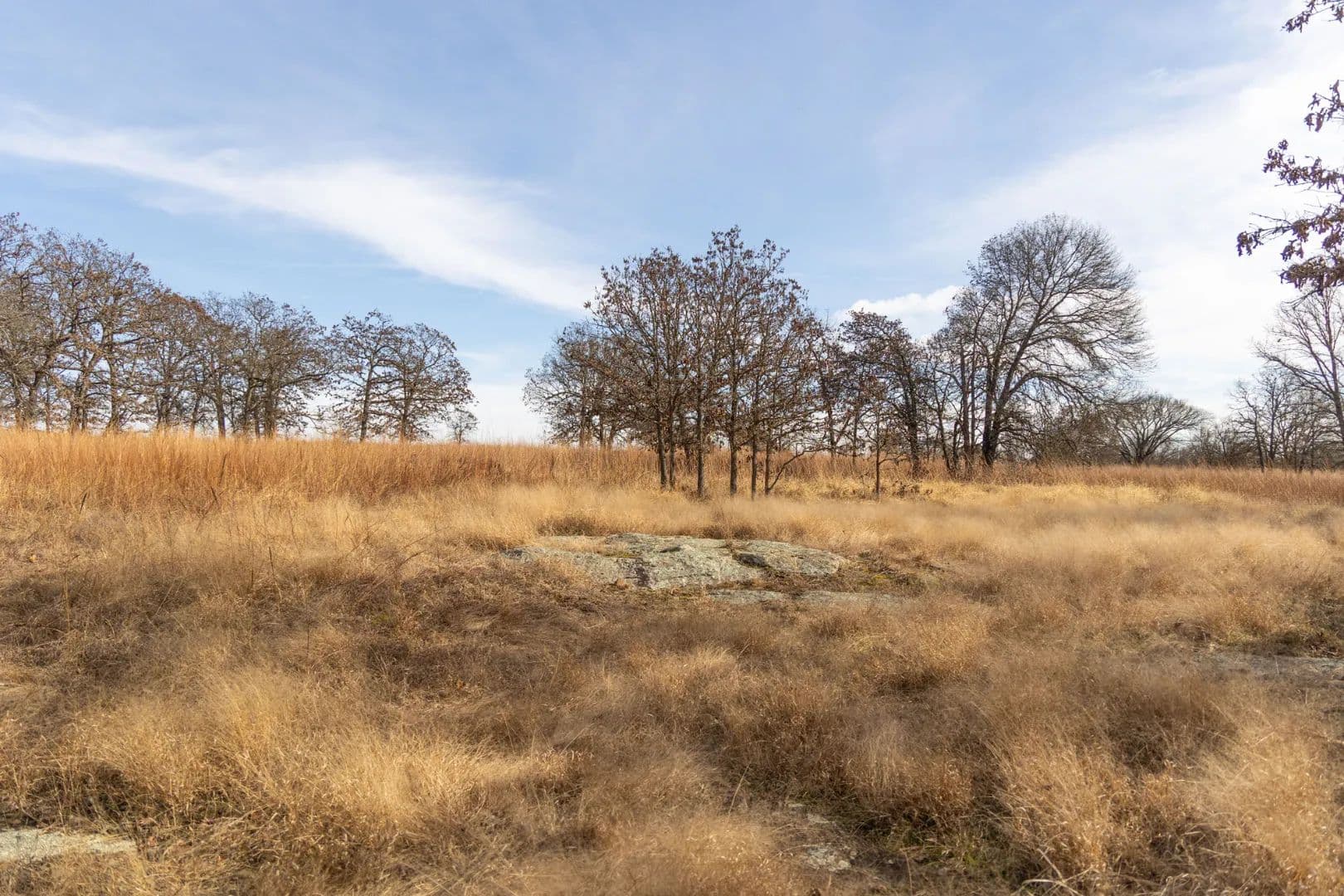 Chambers 240 Acres - Sedan, Kansas,