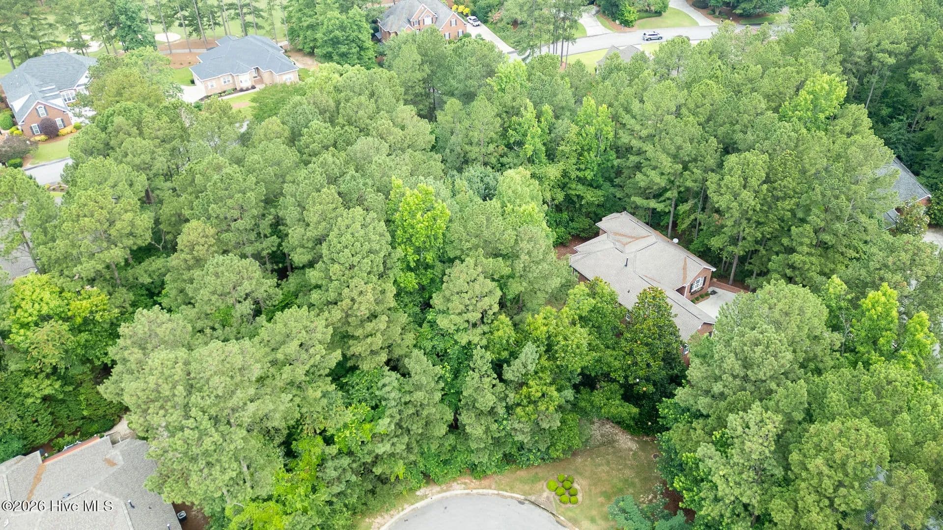 Property from 341 Huntington Court - KW - Aiken, South Carolina, 29803