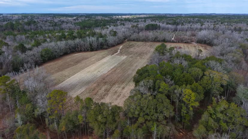 92.05 Acres in Crenshaw County, AL