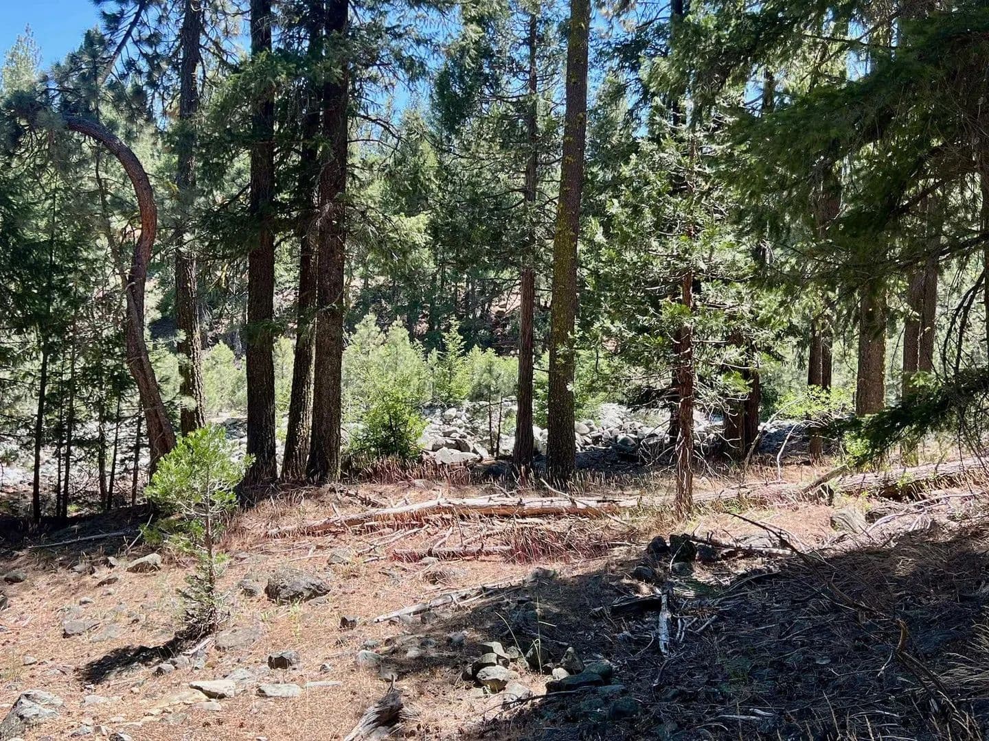 0.34 Acres of Land for Sale in Graeagle, CA - Graeagle, California, 96103