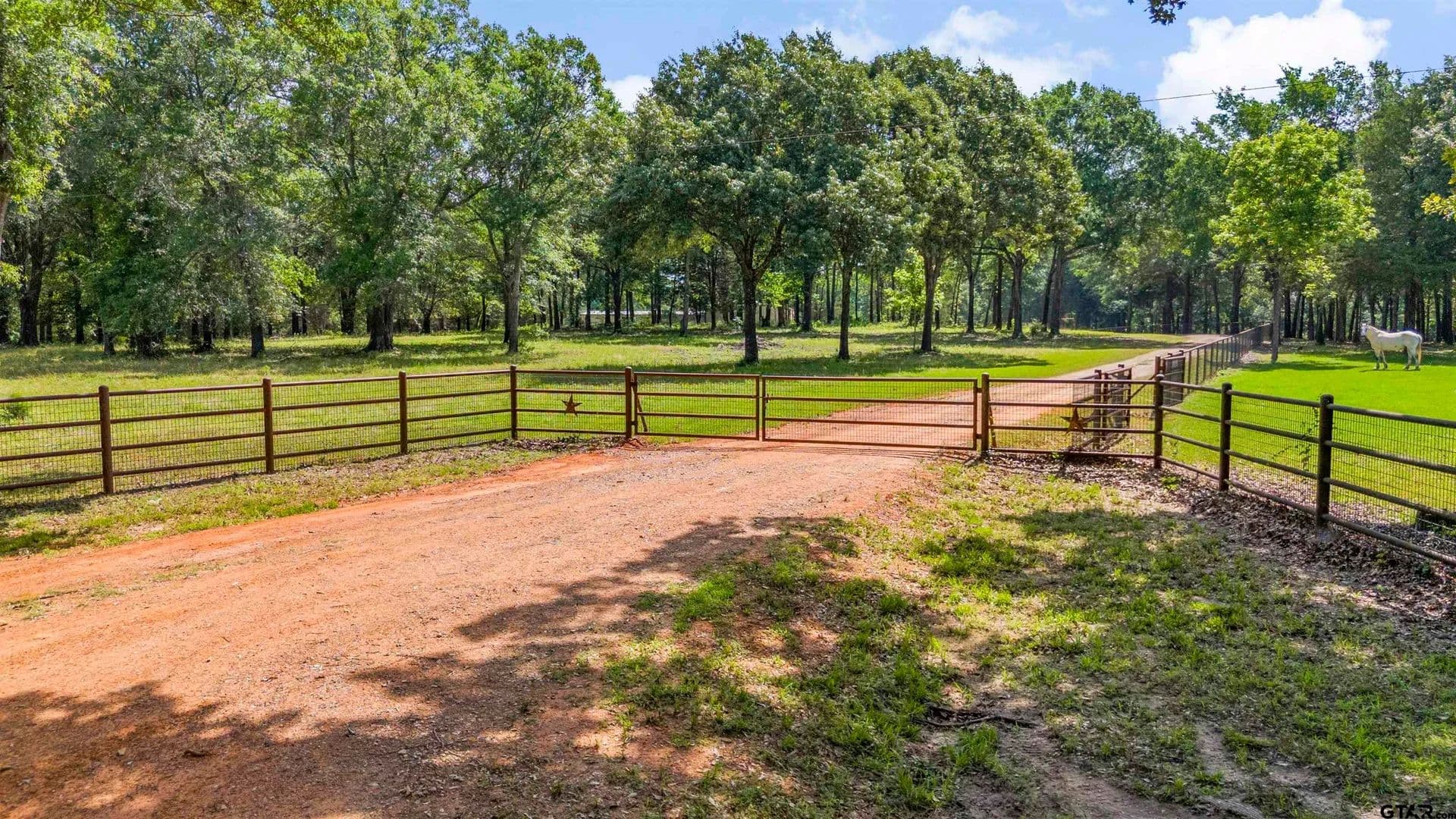 Vacant Land in Ben Wheeler - Ben Wheeler, Texas, 75754