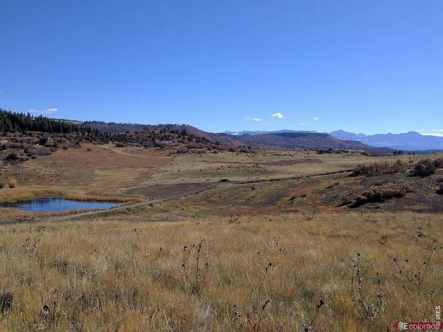 Property from 919 Roush Drive - KW - Pagosa Springs, Colorado, 81147