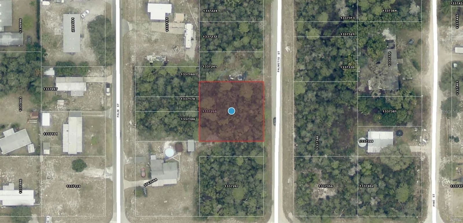 0.25 Acres of Land for Sale in Paisley, Florida - Paisley, Florida, 32767
