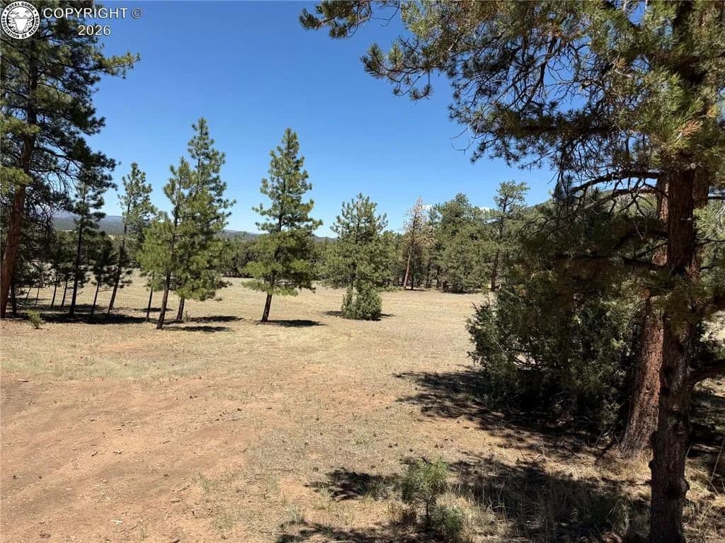 2.66 Acres of Land for Sale in Cotopaxi, CO - Cotopaxi, Colorado, 81223